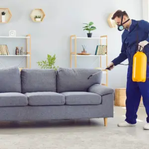 تنظيف كنب مع شركة شاين